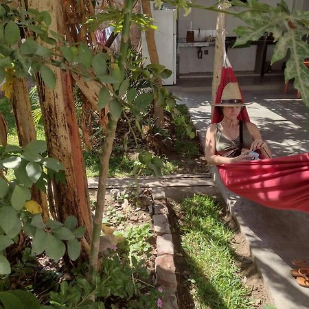 Flying Monkey Hostel Наска Екстер'єр фото