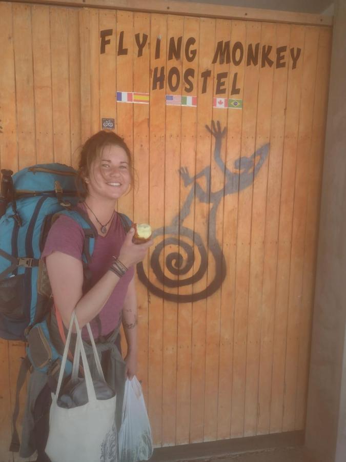 Flying Monkey Hostel Наска Екстер'єр фото