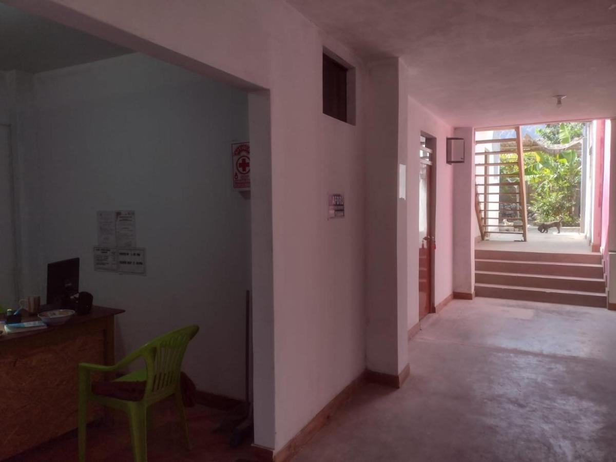 Flying Monkey Hostel Наска Екстер'єр фото