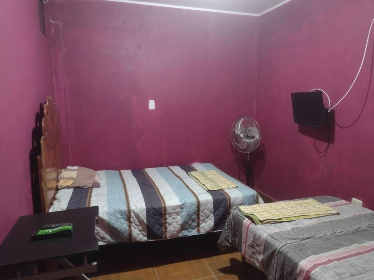Flying Monkey Hostel Наска Екстер'єр фото