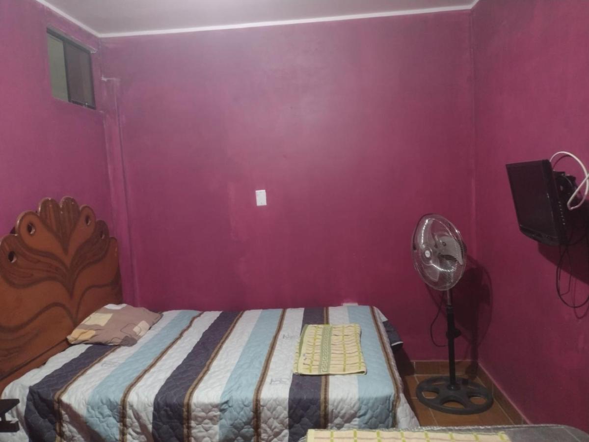 Flying Monkey Hostel Наска Екстер'єр фото